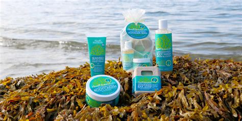 Santa Cruz's Seaweed: A Sustainable Alternative to Plastic